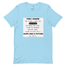 Load image into Gallery viewer, Jeremiah 29:11 Gray Accent Customize Name Tee
