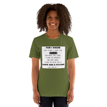 Load image into Gallery viewer, Jeremiah 29:11 Gray Accent Customize Name Tee
